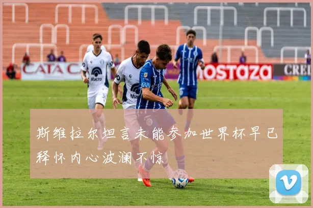 斯维拉尔坦言未能参加世界杯早已释怀内心波澜不惊
