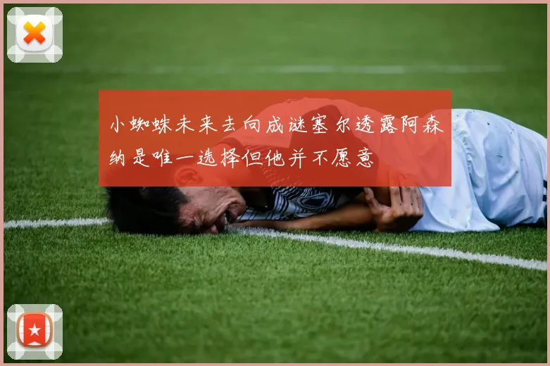小蜘蛛未来去向成谜塞尔透露阿森纳是唯一选择但他并不愿意