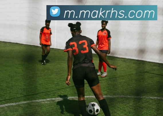 多彩内容专区